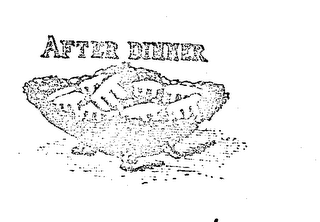 AFTER DINNER trademark