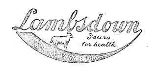 LAMBSDOWN UNDERWEAR YOURS FOR HEALTH