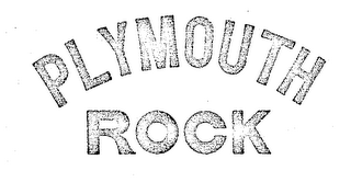 PLYMOUTH ROCK
