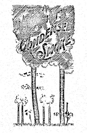 WRIGHT'S CONDENSED SMOKE