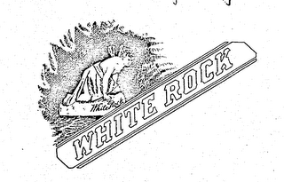 WHITE ROCK