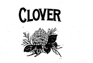 CLOVER