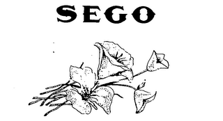 SEGO trademark