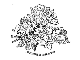 GERBER BRAND