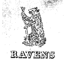 RAVENS