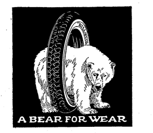 A BEAR FOR WEAR