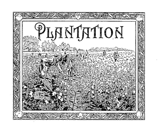 PLANTATION trademark