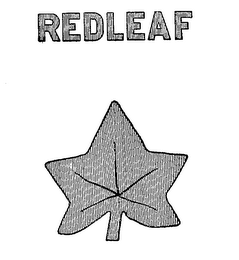 REDLEAF