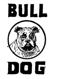 BULL DOG