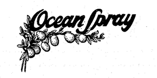 OCEAN SPRAY