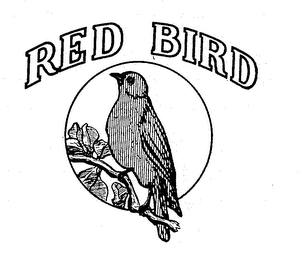 RED BIRD