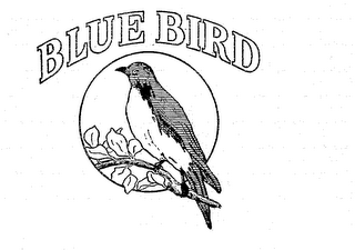 BLUE BIRD