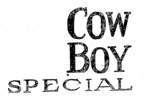 COW BOY SPECIAL