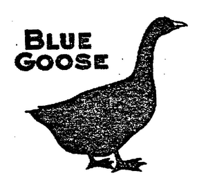 BLUE GOOSE