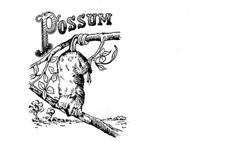 POSSUM