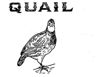 QUAIL