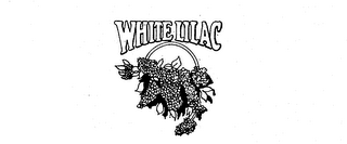 WHITE LILAC