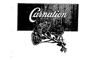 CARNATION trademark