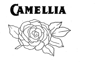 CAMELLIA trademark