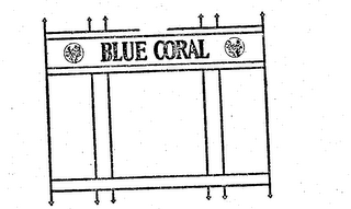 BLUE CORAL