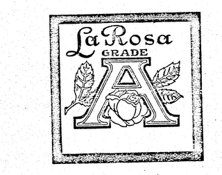 LA ROSA GRADE A