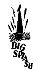 BIG SPLASH
