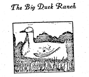 THE BIG DUCK RANCH