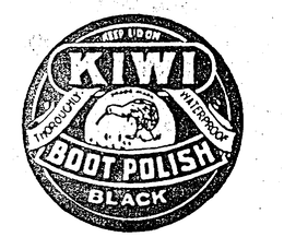 KIWI