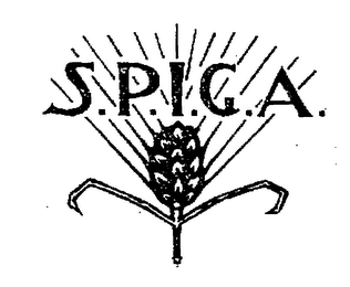 S.P.I.G.A.