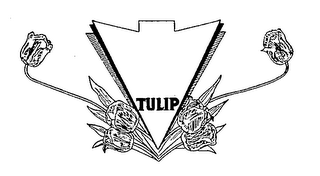 TULIP trademark