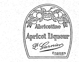 ABRICOTINE APRICOT LIQUEUR P. GARNIER ENGHIEN (FRANCE) P.G