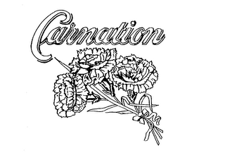 CARNATION trademark