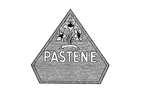 PASTENE