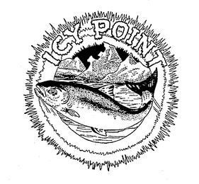 ICY POINT trademark