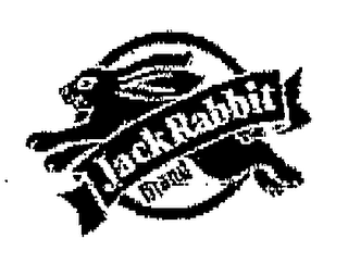 JACK RABBIT