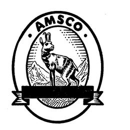 AMSCO