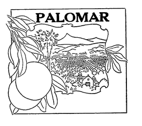 PALOMAR