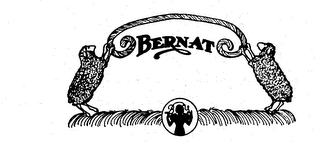 BERNAT