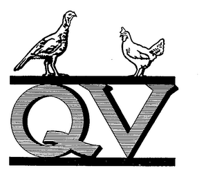 QV