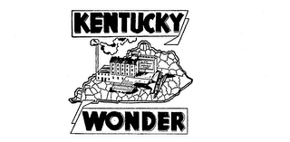 KENTUCKY WONDER