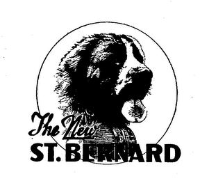 THE NEW ST. BERNARD