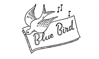 BLUE BIRD