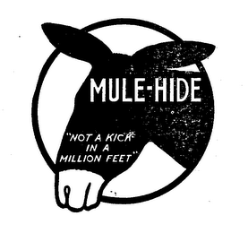 MULE-HIDE (PLUS OTHER NOTATIONS)