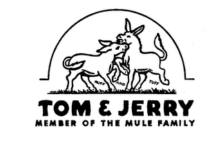 TOM & JERRY MEMBER OF THE MULE FAMILY RUFF AND TUFF