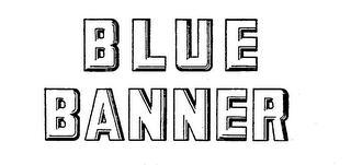 BLUE BANNER