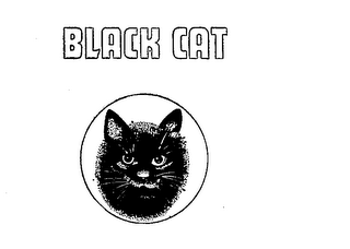 BLACK CAT