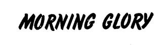 MORNING GLORY