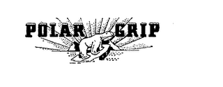 POLAR GRIP trademark