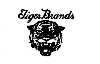 TIGER BRANDS