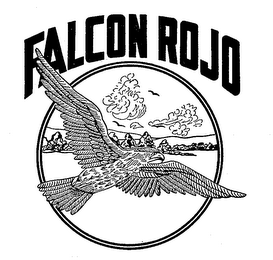 FALCON ROJO